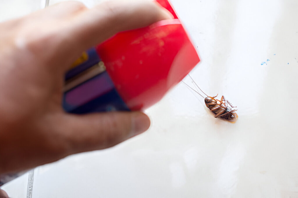 how to get rid of roaches overnight diy