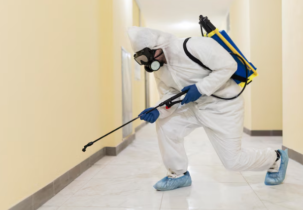 how to clean a vacant apartment of pests