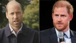 prince harry has made a new statement against prince william